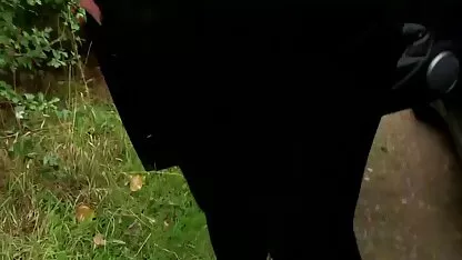 Presley sexfilme ältere und Riley Reid lecken Biber