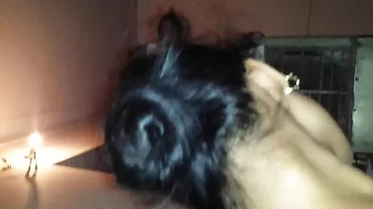 schwangere chinesische teen pornos für reife frauen Interne Ejakulation